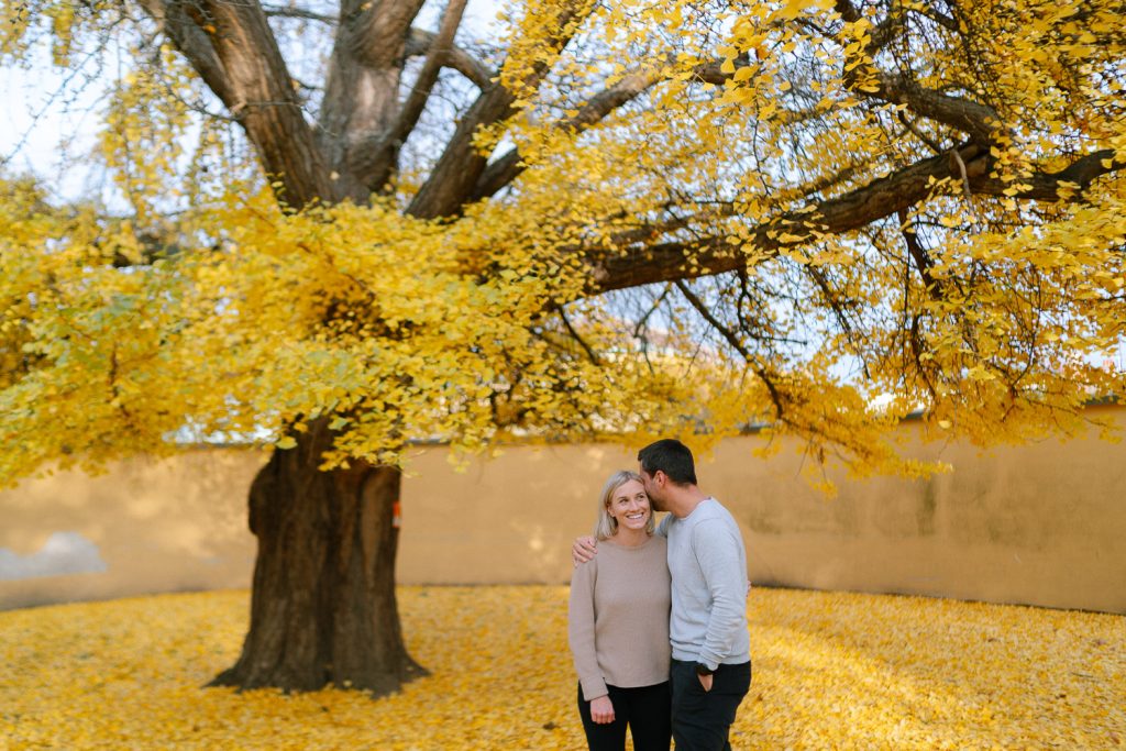 Romantisches Paar unter Baum mit gelben Herbstblättern, Fotoshooting.